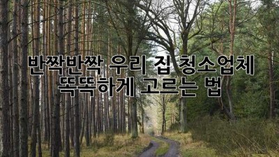 반짝반짝✨ 우리 집, 청소업체 똑똑하게 고르는 법 💯