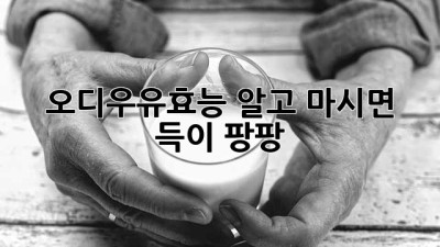 오디우유효능🍇🥛 알고 마시면 득이 팡팡!